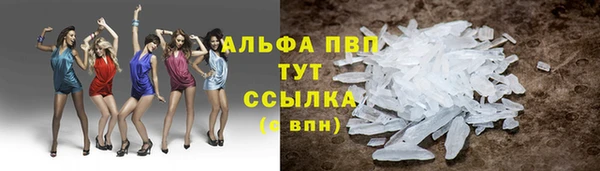 прущая мука Арсеньев