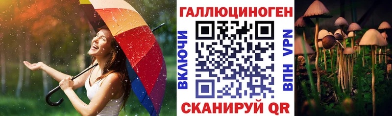 Псилоцибиновые грибы Psilocybine cubensis  Камбарка 